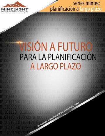 VisiÃ³n a futuro para la planificaciÃ³n a largo plazo - Mintec, Inc.