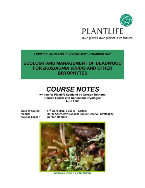 Buxbaumia viridis leaflet - Plantlife