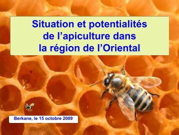 PrÃ©sentation du secteur apicole dans la rÃ©gion de l'Oriental ...