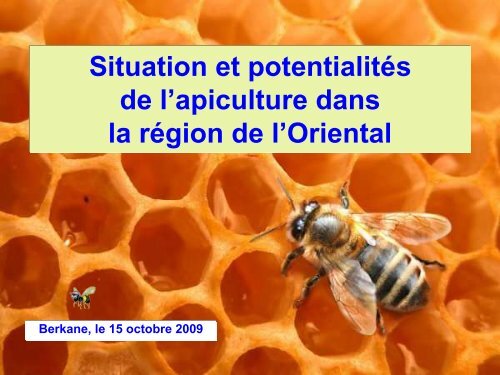 PrÃ©sentation du secteur apicole dans la rÃ©gion de l'Oriental ...