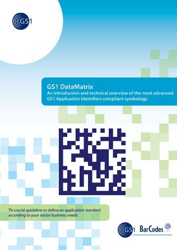 GS1 DataMatrix introduction and technical overview (PDF)