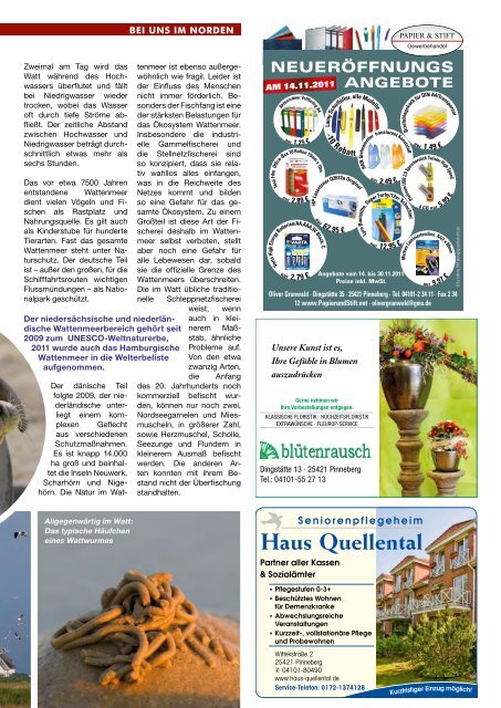 als PDF herunterladen - PINNWAND - Magazin