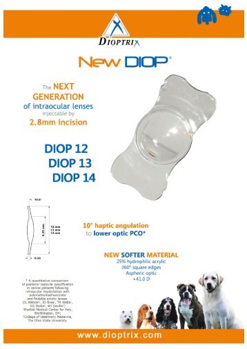 DIOP: the next generation - Dioptrix