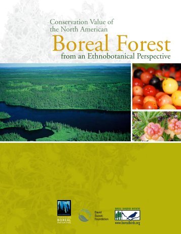Conservation Value of the North American Boreal Forest from an ...