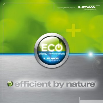 Efficiency Flyer - Lewa