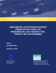 AnÃ¡lisis de las Potencialidades Productivas para las Regiones