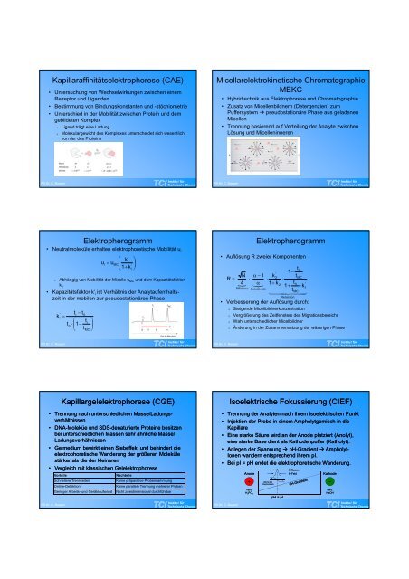 Kapillarelektrophorese - TCI @ Uni-Hannover.de