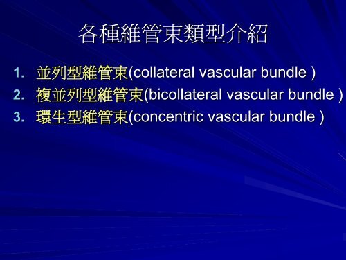 æ¤ç©çå¨å®: è