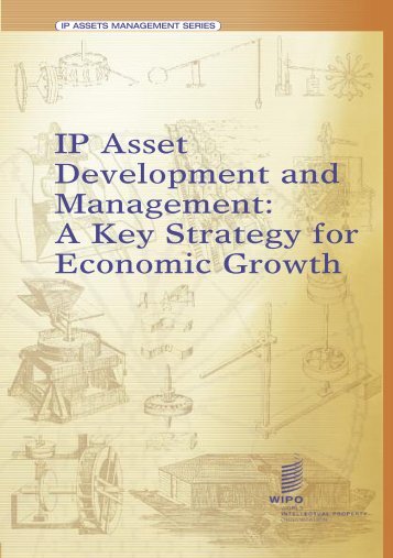 IP Asset Development and Management: A Key Strategy for ... - WIPO