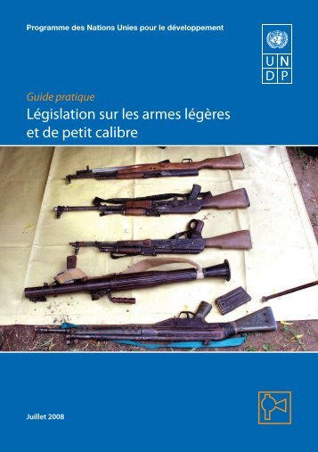 Législation sur les armes légères et de petit calibre - PoA-ISS