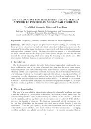 an rp-adaptive finite element discretization applied to physically non ...