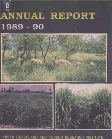 IGFRI Annual Report 1989-1990 - Indian Grassland and Fodder ...