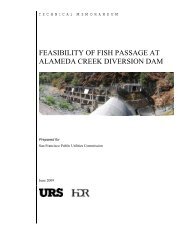 Feasibility of Fish Passage at Alameda Creek Diversion Dam