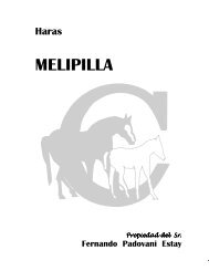 Haras Melipilla.pdf - criadores.cl