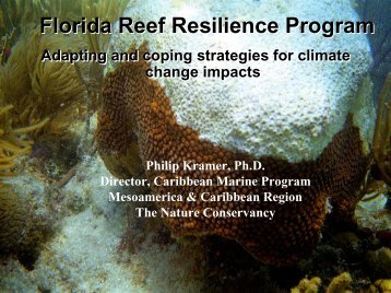 Phil Kramer, The Nature Conservancy, Florida Reef Resilience Project