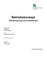 Betriebskonzept-Niederlassung mit Investition.pdf