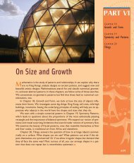 On Size and Growth - W.H. Freeman