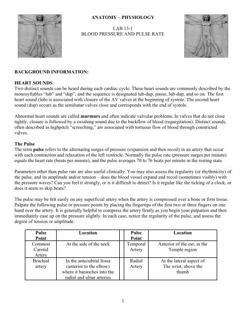 Lab 13-1 Blood Pressure and Pulse Rate - Physics-matters.net