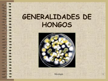 Generalidades de los hongos