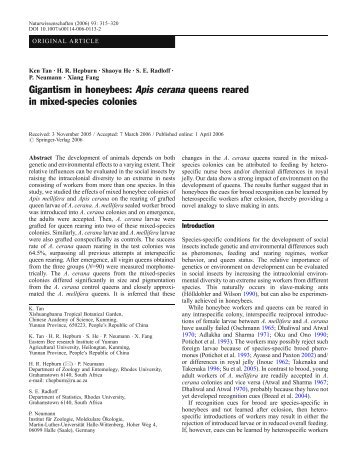 Apis cerana queens reared in mixed-species colonies