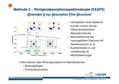 Wechselwirkungen von Actiniden mit BiomolekÃ¼len - GWZ Dresden