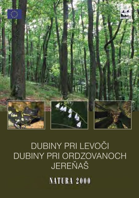 dubiny pri levoči dubiny pri ordzovanoch jereňaš - ŠOP SR