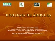 Biologia de árboles - ISA Hispana