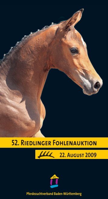 52. Riedlinger Fohlenauktion - Pferdezuchtverband Baden ...