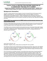 1 Teacher Guide for RESTRICTION ENZYME DIGESTION OF ...