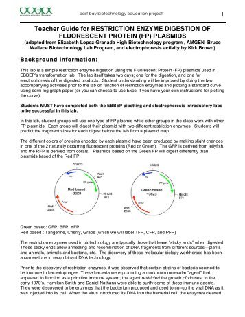 restriction enzyme digestion