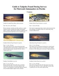 Tadpole Guide