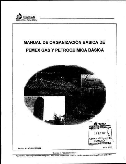 Manual de Organización Básica - Pemex Gas y Petroquímica Básica