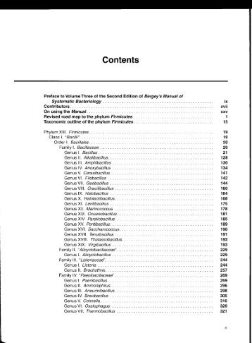 Micrococcus Luteus Morphology Micrococcus Luteus Morphology
