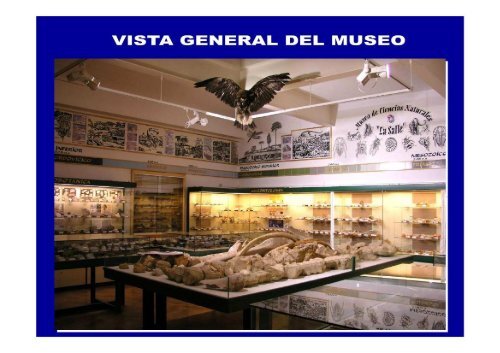 Museo (AlmerÃ­a)