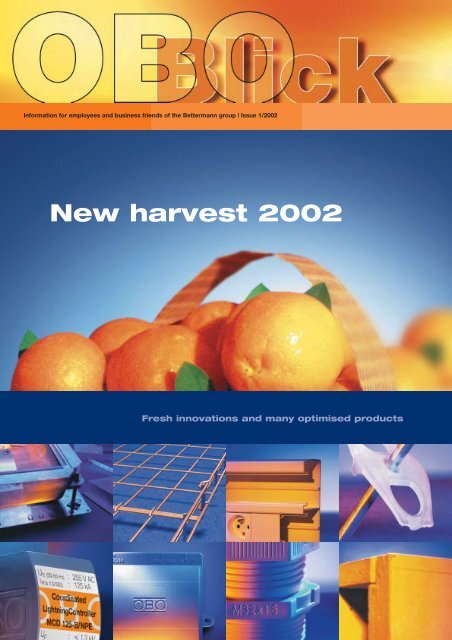 Antecedent camouflage sail OBO Blick 1/2002 - New harvest 2002 - OBO Bettermann