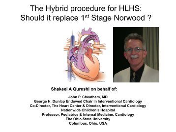 The Hybrid procedure for HLHS - Sha-conferences.com