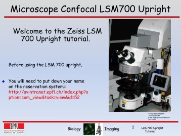 Confocal LSM 700 upright v2.pdf - EPFL