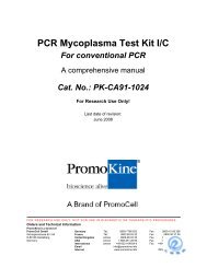 Mycoplasma PCR Detection Kit I/C