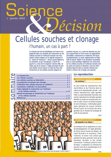 Cellules souches et clonage