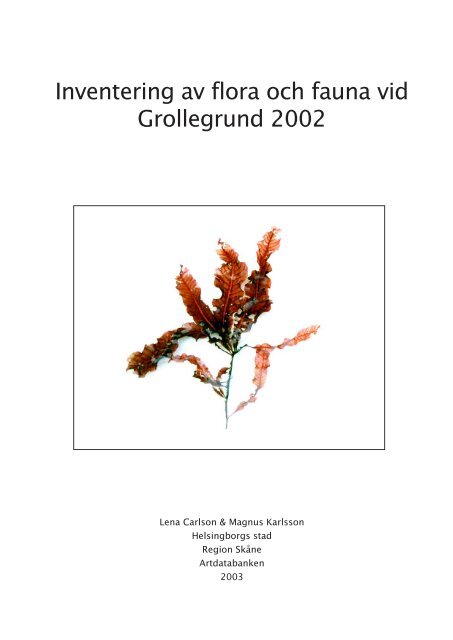 Inventering av flora och fauna vid Grollegrund 2002