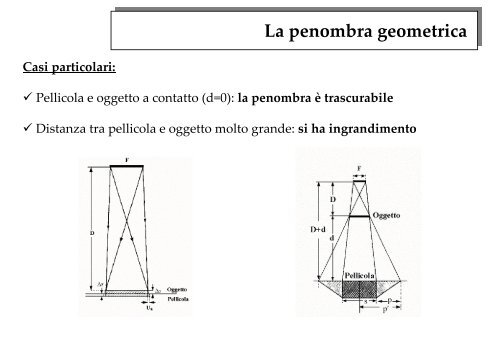 Raggi X - Dimeca