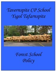 Tavernspite CP School Ysgol Tafarnspite Forest School Policy