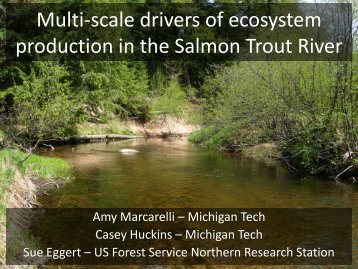 Multi-scale drivers of ecosystem production in the Salmon Trout River