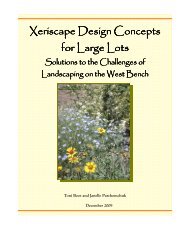 Xeriscape Design Concepts for Large Lots - Rdosmaps.bc.ca