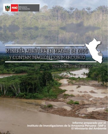 Minería aurífera en Madre de Dios y contaminación con ... - CDAM