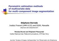 Parametric estimation methods of multivariate data for multi ...