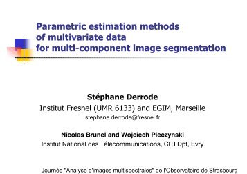 Parametric estimation methods of multivariate data for multi ...