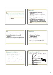 Les mouvements respiratoires - Physiologie ENVT