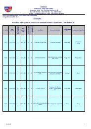 autorizatii de construire 2013 - Consiliul Judetean Arad