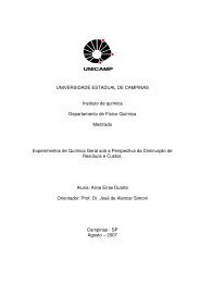 UNIVERSIDADE ESTADUAL DE CAMPINAS Instituto de quÃ­mica ...